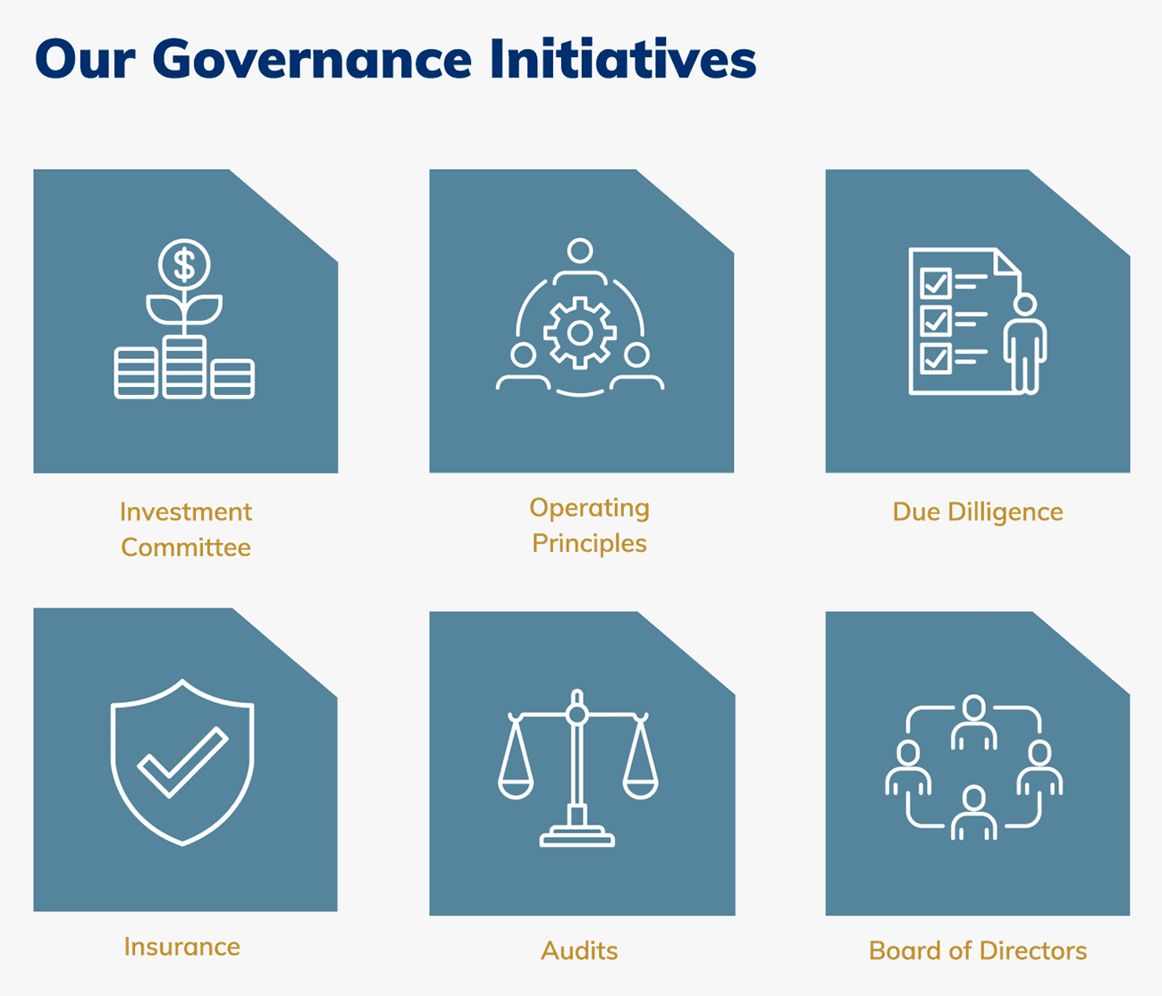Our Governance Initiatives